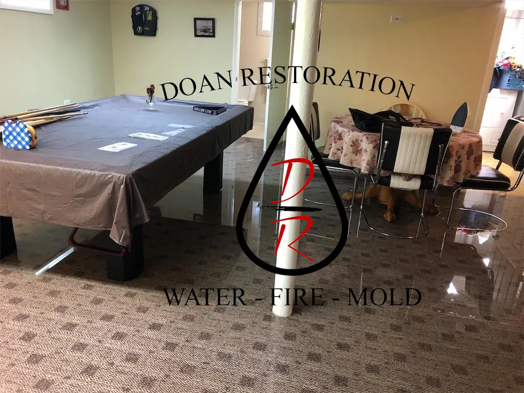 Doan Restoration of Michigan — water, fire, and mold restoration